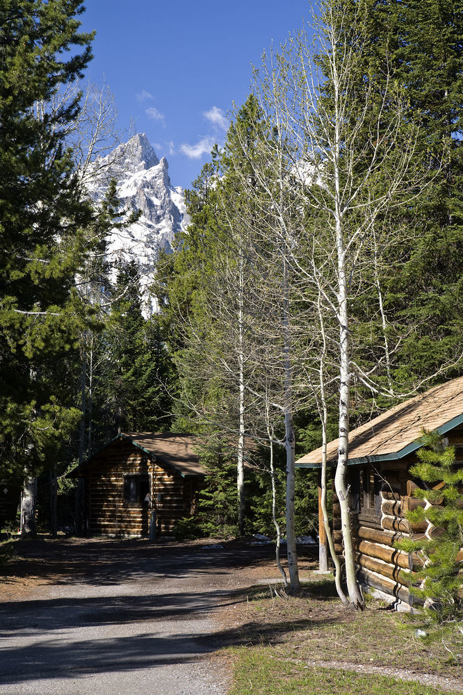 Jenny Lake Lodge Beaver Creek Экстерьер фото